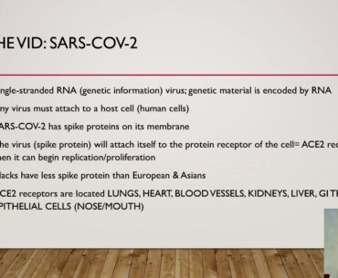 Immune System, Vitamins and The VID Biochemistry Series Part 2. Build Up To Vaccines