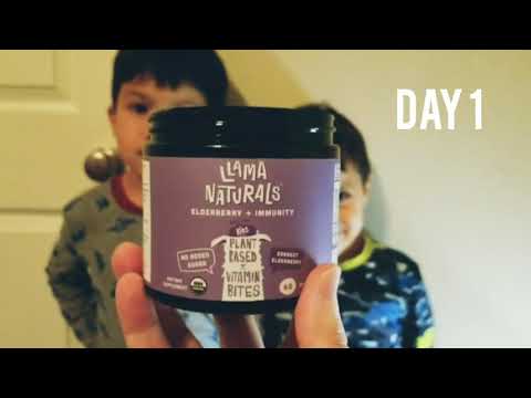 Llama Naturals Vitamin Review | Aries & Apollo Adventures