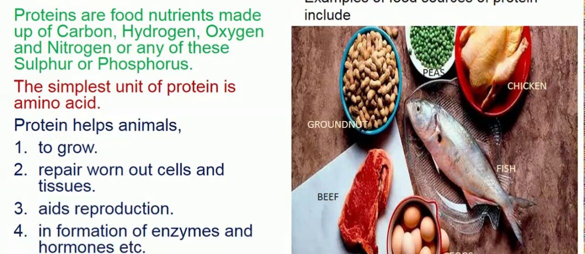 VIDEO ON ANIMAL NUTRITION