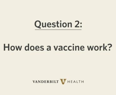 COVID-19 Vaccine 101: How Does A Vaccine Work?