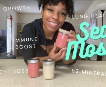 Irish Sea Moss | Natural Immune Support | How to make Sea Moss