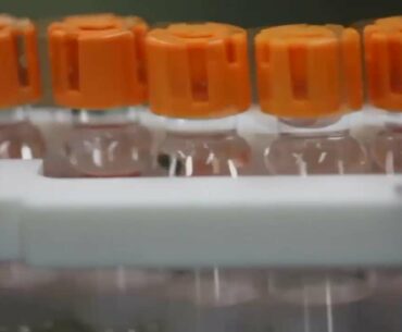 Cleveland Clinic Experts Discuss COVID-19 Vaccine Safety and Distribution