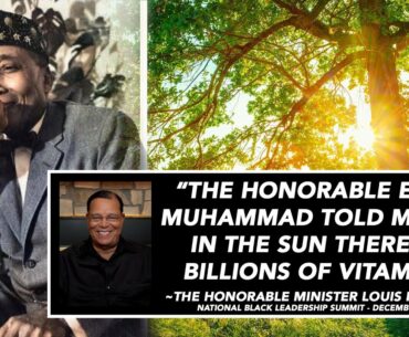 We need more Vitamin D! Bathe in the Sun! - Minister Louis Farrakhan
