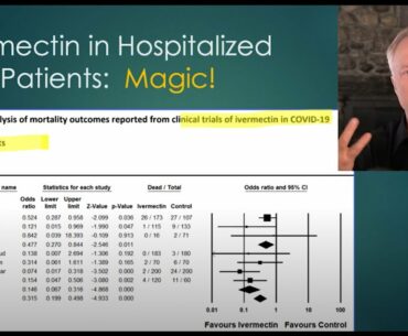 Statement on the Ivermectin metastudies from the perspective of a patologist