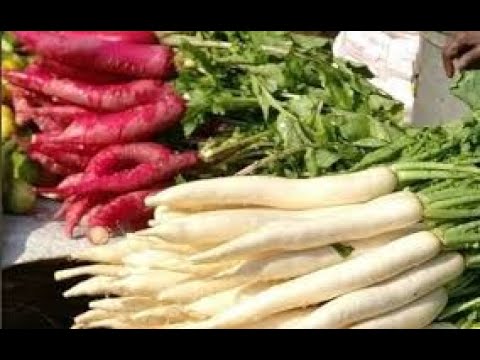 Mooli for winters:  Radish: The Power Source of Potassium, Vitamin C and Fiber Dr Devayani jogi.