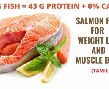 HEALTHY FISH RECIPE LOSE WEIGHT AND GAIN MUSCLE(TAMIL) | HIGH PROTEIN SALMON FISH
