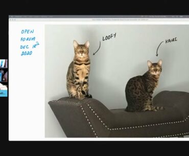 Your COVID-19 Questions Answered (Open forum Friday December 18th, 2020)