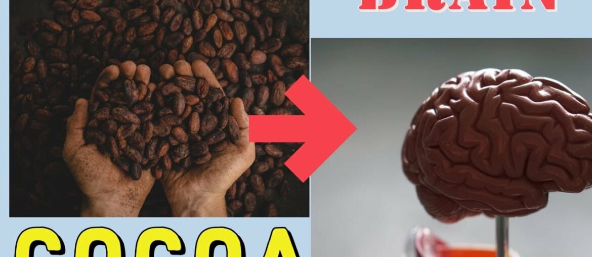 Cocoa Health Benefits For Brain Health, Blood Pressure, Type -2 Diabetics, Diabetes & Nutrients.