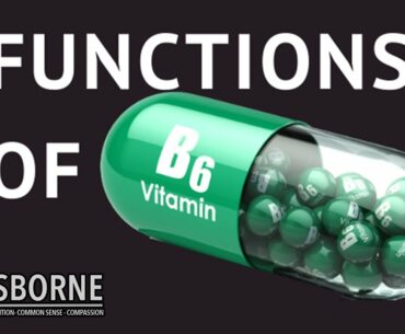 Key Roles of Vitamin B6