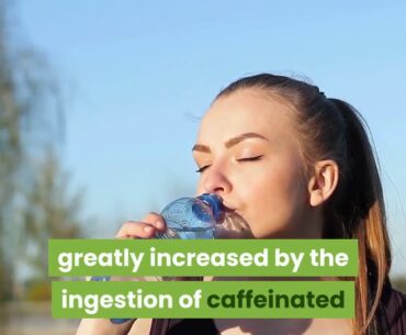 The Importance Of Water