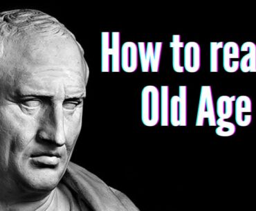 Best Supplements For Longevity