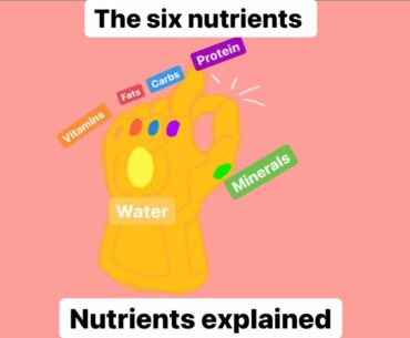 The 6 Nutrient Stones (Nutrients Explained)