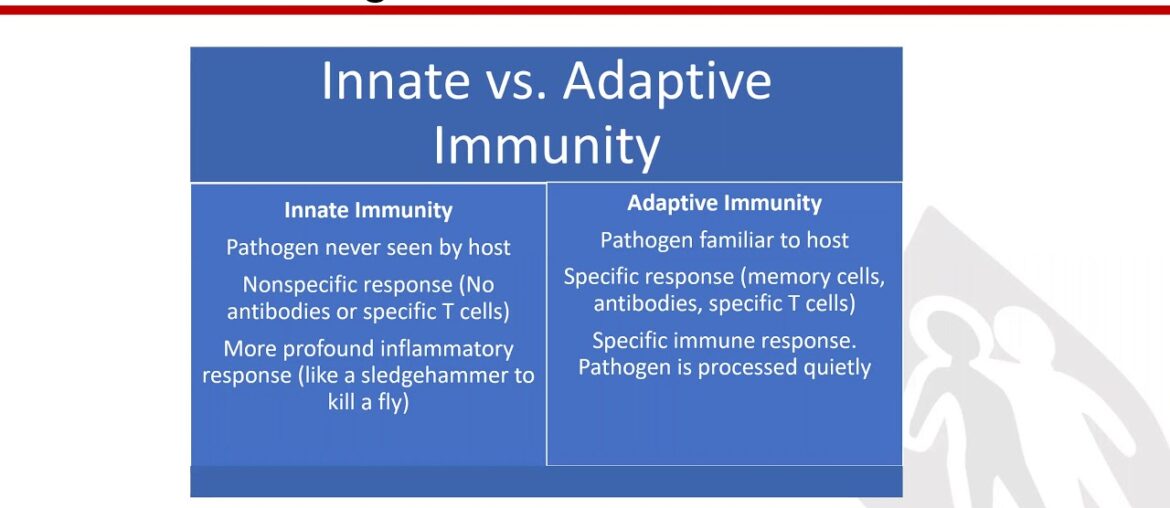 COVID-19: Mitigation, Treatment and Vaccines