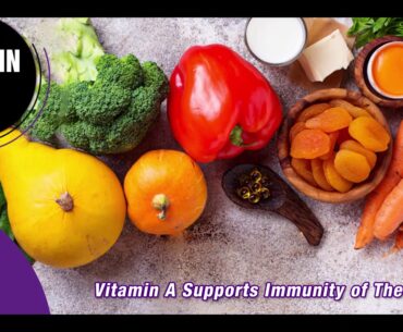 Naturyz Omega 3 Multivitamin health benefits | Omega 3 fatty acid with multivitamin khane k fayde