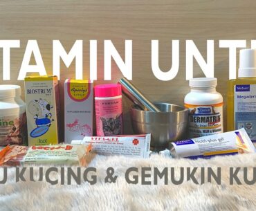 Vitamin Untuk Bulu Kucing Sampai Untuk Menggemukkan Kucing Yang Dipakai Meowvelous