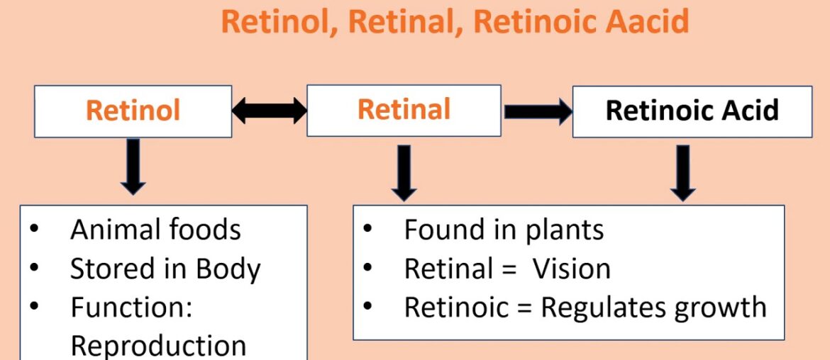 Vitamins Fat Soluble