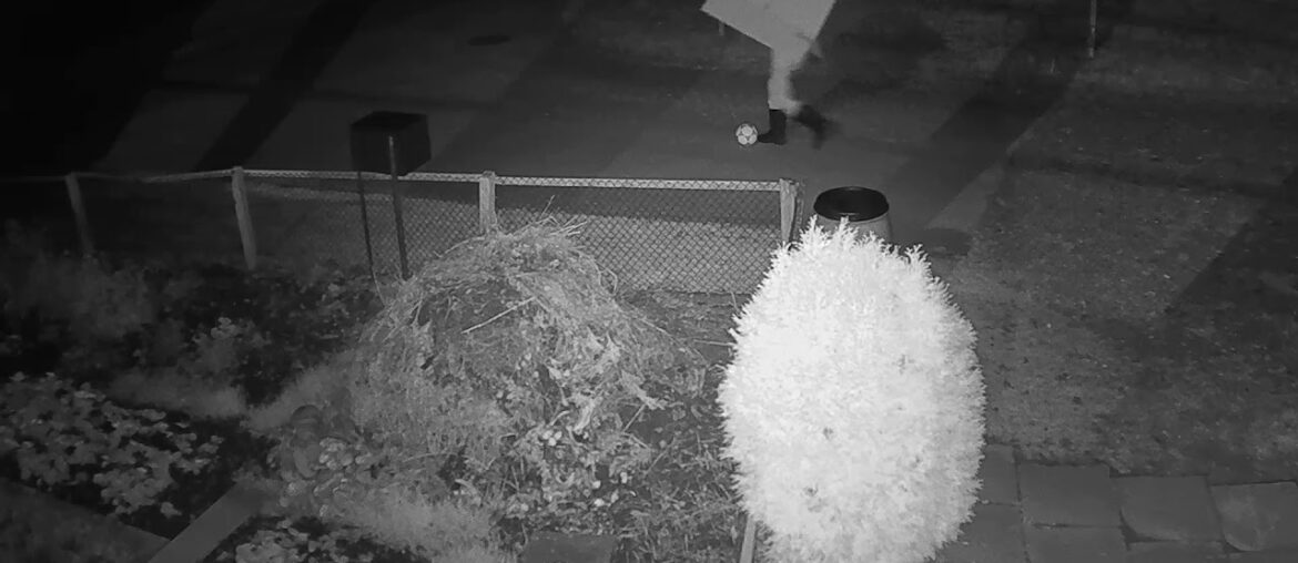 2020 12 20   Coronavirus Explained 32 - Too much protection is dangerous