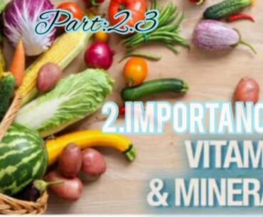 Class 4 # Term 2 # Science # Lesson 2.3 # Importance of Vitamins and Minerals #
