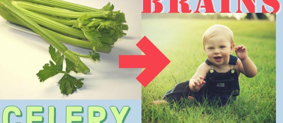 Celery Health Benefits, Celery Juice, Leaves, Roots, Vitamins, Brain Health, Digestion, Weight Loss.