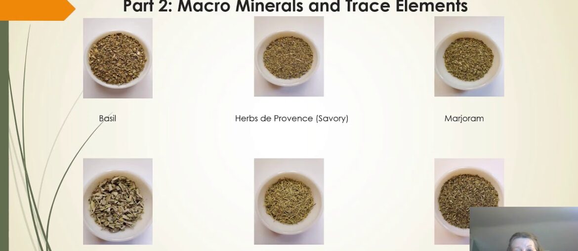 Vitamins, Minerals, and Herbs  Part 2 a Minerals