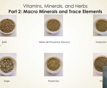 Vitamins, Minerals, and Herbs  Part 2 a Minerals