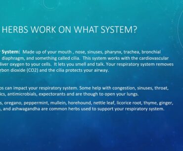 Vitamins, Minerals, and Herbs  Part 1 b Metabolism