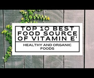 Top 10 Best food Source of Vitamin E | Healthy Organic Food | Ate Bing's Channel