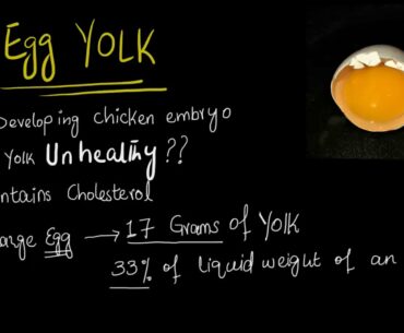 Egg Yolk | Is egg yolk Healthy ? | Egg yolk and cholesterol myth | Nutritional value