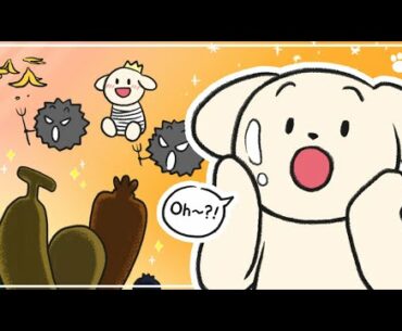 6 Best Fruits and Vegetables for Dogs | BEMYPET's Tips