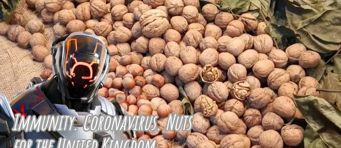 Immunity. Coronavirus. Walnuts and Hazelnuts for the United Kingdom. King Arthur Alive