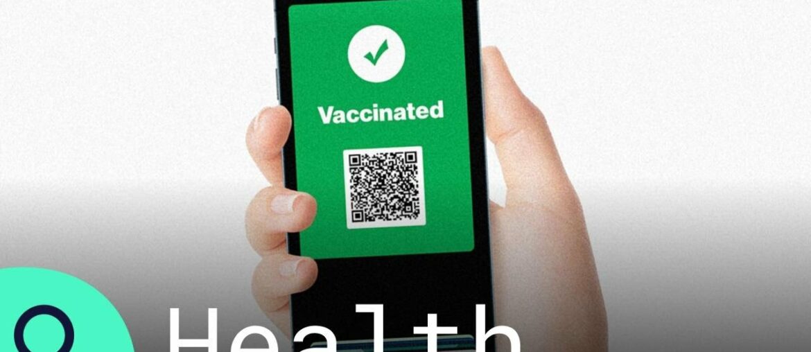 Airlines Considering Immunity Passports to Get Economies Moving Again