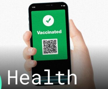 Airlines Considering Immunity Passports to Get Economies Moving Again