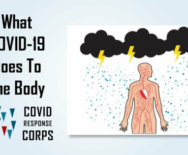 What COVID-19 Does to the Body