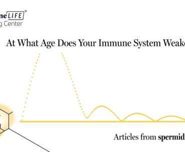 At What Age Does Your Immune System Weaken?