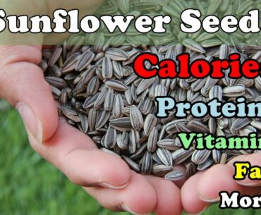 SUNFLOWER SEEDS - Calories, Proteins, Vitamins, Fat, Minerals [ANALYSIS]
