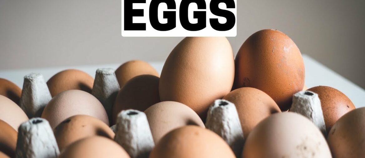 Eggs(1)| Explained| Food Biotechnology