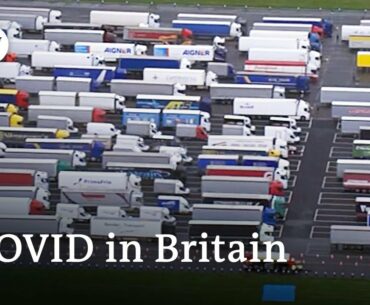 Britain's Covid-19 isolation stokes fears of food shortages | Coronavirus Update