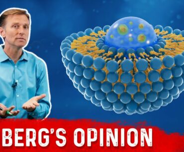 Liposomal Vitamins: Dr. Berg's Opinion