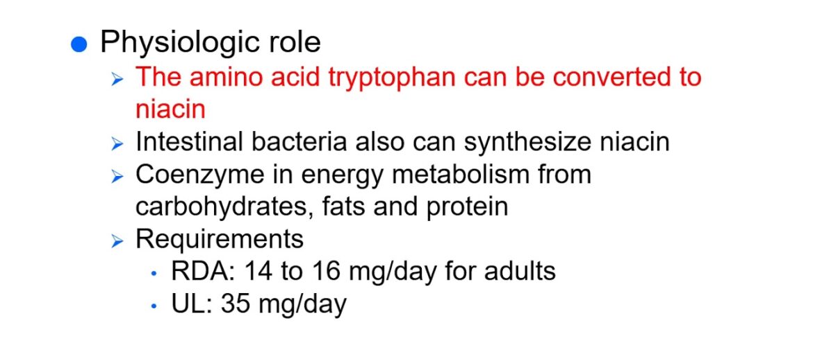 DH209 Nutrition Chapter 11 ppt  online