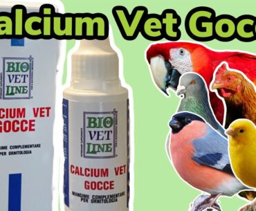#Ad - BioVetLine Calcium Vet Gocce | Calcium Supplement for Birds
