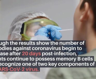 Immunity to COVID 19 lasts up to 8 months