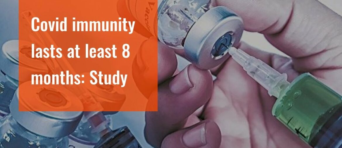 Covid immunity lasts at least 8 months: Study