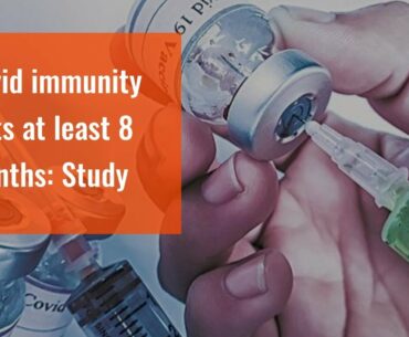 Covid immunity lasts at least 8 months: Study