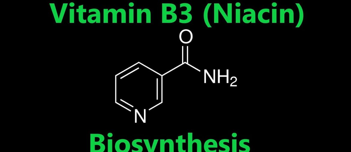 Nutrition 22 | Water Soluble Vitamins 4 - Niacin (Vitamin B3) Biosynthesis