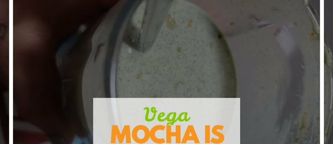 Vega Essentials Protein Powder, Chocolate, Plant Based Protein Powder Plus Vitamins, Minerals a...