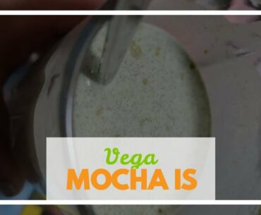 Vega Essentials Protein Powder, Chocolate, Plant Based Protein Powder Plus Vitamins, Minerals a...