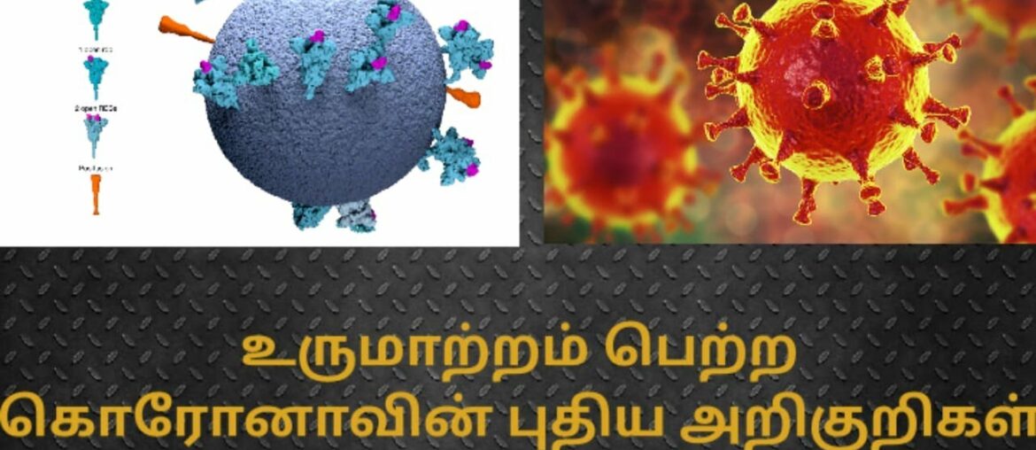 Symptoms of New Corona Virus Variant  |  Snegithi Tamil Health Tips