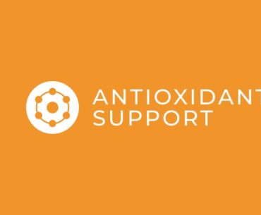 Boldfit Immunity booster Supplements with Vitamin C, Zinc, Turmeric, Cinnamon & Elderberry Extract