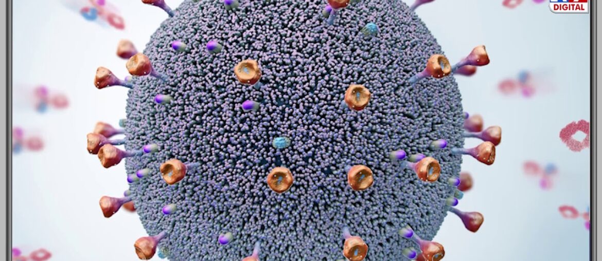 COVID-19 immunity can last at least for 8 months: Study