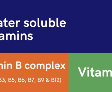 Water soluble vitamins( B complex and vitamin C )|| useful information about water solube vitamins